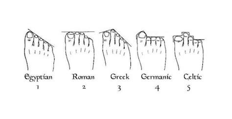 german feet|10 Different Types Of Feet: Complete Guide .